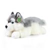 Rappa Plyšový pes husky ležiací 30 cm