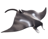 Mojo Raja manta