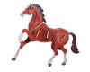 Woodcraft Drevené 3D puzzle Kôň farebný