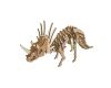 Woodcraft Drevené 3D puzzle Triceratops