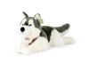 Rappa Plyšový pes husky s obojkom ležiaci 60 cm ECO-FRIENDLY