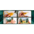 EscapeWelt 3D drevené puzzle Brontosaurus