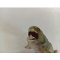 Mojo Dunkleosteus - II. trieda