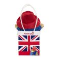 Rainbow Plyšový Paddington v darčekovej taške