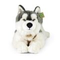 Rappa Plyšový pes husky s obojkom ležiaci 60 cm ECO-FRIENDLY