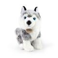 Rappa Plyšový pes husky sediaci 30 cm ECO-FRIENDLY