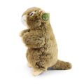 Rappa Plyšový svišť 23 cm ECO-FRIENDLY