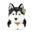 Rappa Plyšový pes husky 36 cm ECO-FRIENDLY