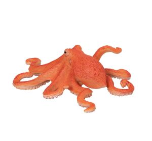 Mojo Chobotnica