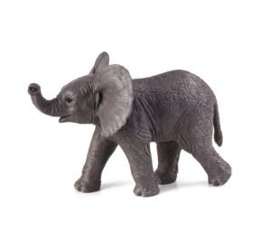 Mojo Slon africký sloníča hrajúci sa