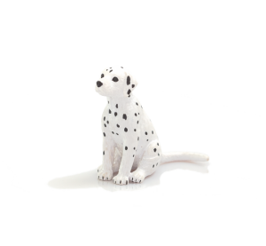 Mojo Dalmatín šteňa