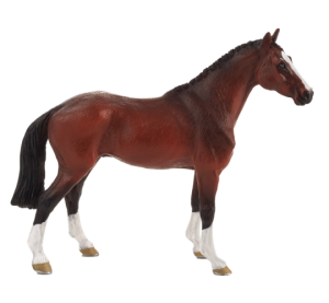 Mojo Holandský teplokrvník