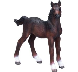 Mojo Hannoverské žriebä hnedé