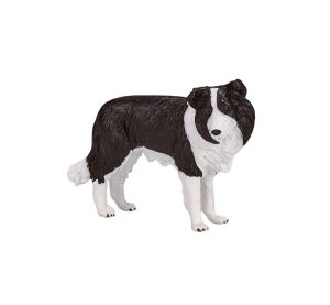 Mojo Borderská kólia