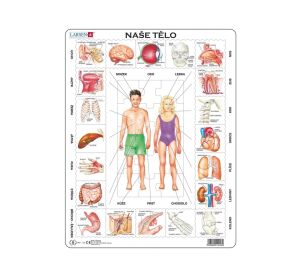 Larsen Vzdelávacie puzzle Naše telo 35 dielikov