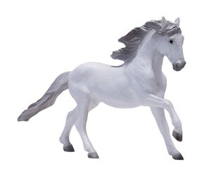 Mojo Lusitánsky kôň biely