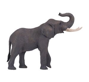 Mojo Slon africký XXL