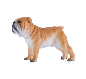 Mojo Anglický buldog