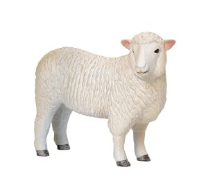 Mojo Ovca romney marsh