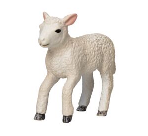 Mojo Jahniatko romney marsh bežiace