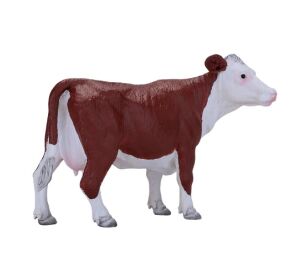 Mojo Herefordská krava