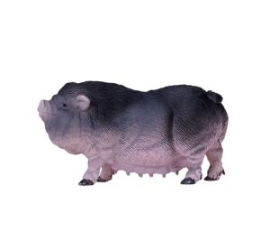 Mojo Vietnamské zvislobruché prasa