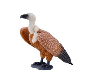 Mojo Sup bielohlavý hnedý