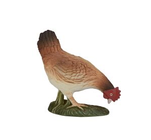 Mojo Sliepka kŕmiaca sa