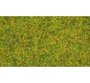 Noch Statická tráva Letná lúka 2,5 mm