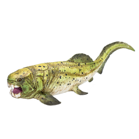 Mojo Dunkleosteus - II. trieda