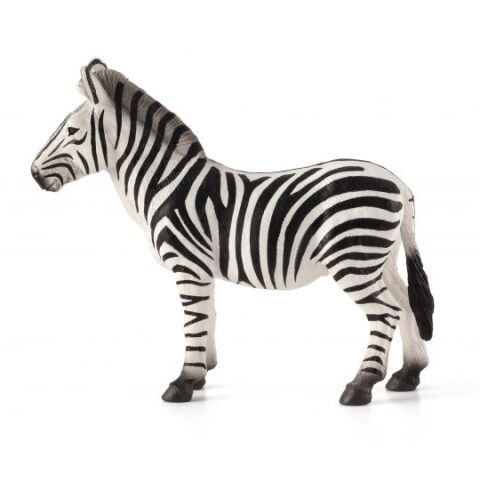 Mojo Zebra