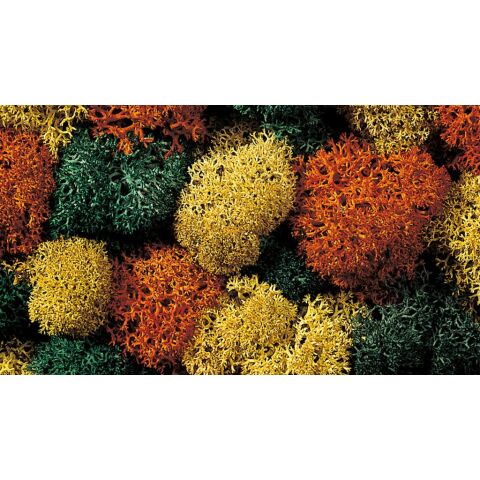 Noch Dekoračný mach jesenný